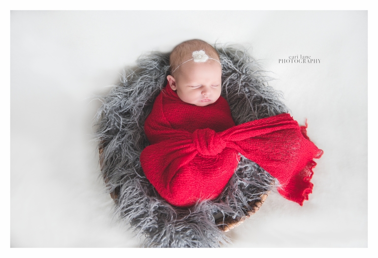 St. Louis newborn photographer ~ Cari Lane Photography