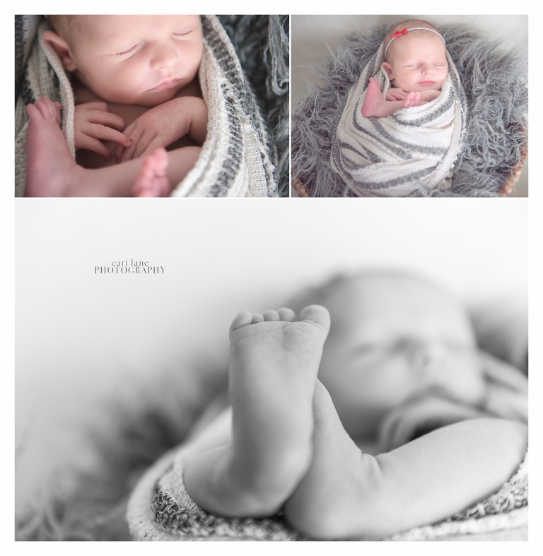 St. Louis newborn photographer ~ Cari Lane Photography